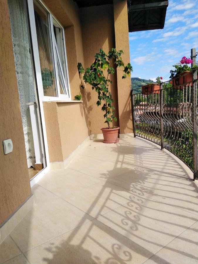 Apartmán Casa Diana-Maria Curtea de Argeş Exteriér fotografie