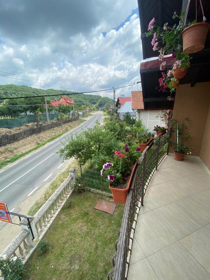 Apartmán Casa Diana-Maria Curtea de Argeş Exteriér fotografie