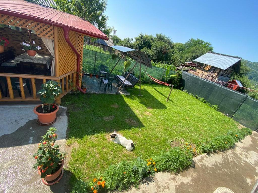 Apartmán Casa Diana-Maria Curtea de Argeş Exteriér fotografie