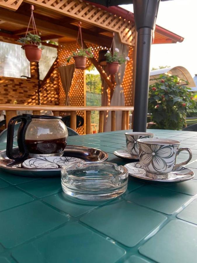 Apartmán Casa Diana-Maria Curtea de Argeş Exteriér fotografie