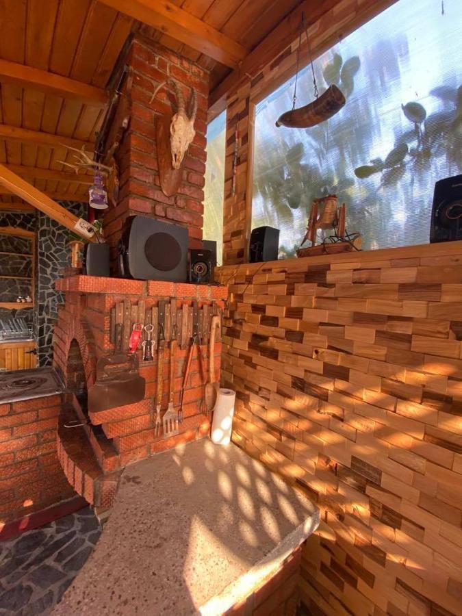 Apartmán Casa Diana-Maria Curtea de Argeş Exteriér fotografie