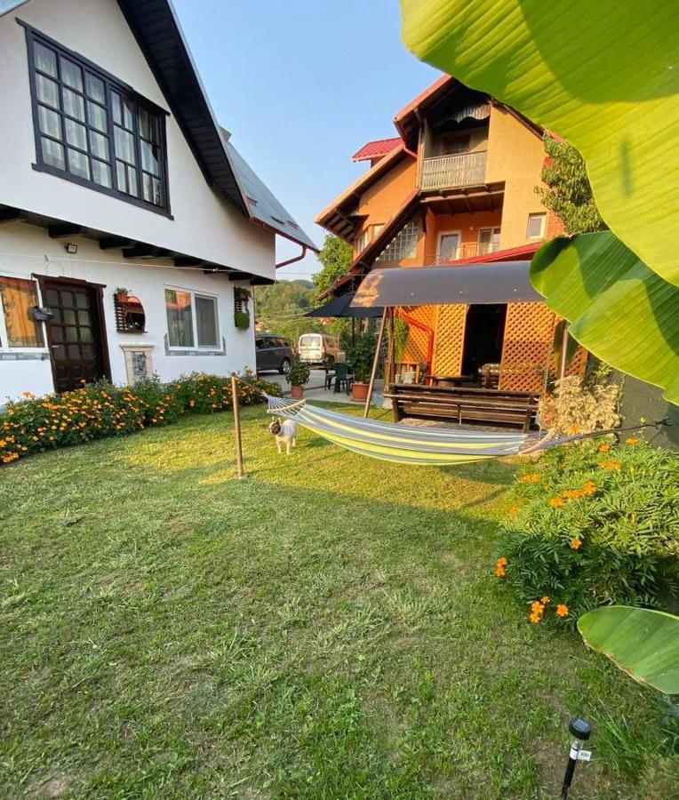 Apartmán Casa Diana-Maria Curtea de Argeş Exteriér fotografie