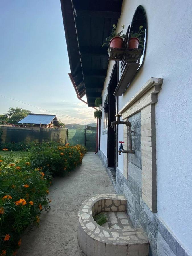 Apartmán Casa Diana-Maria Curtea de Argeş Exteriér fotografie