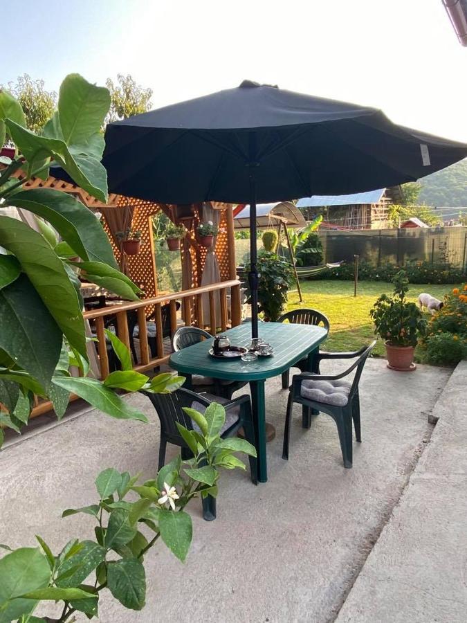 Apartmán Casa Diana-Maria Curtea de Argeş Exteriér fotografie