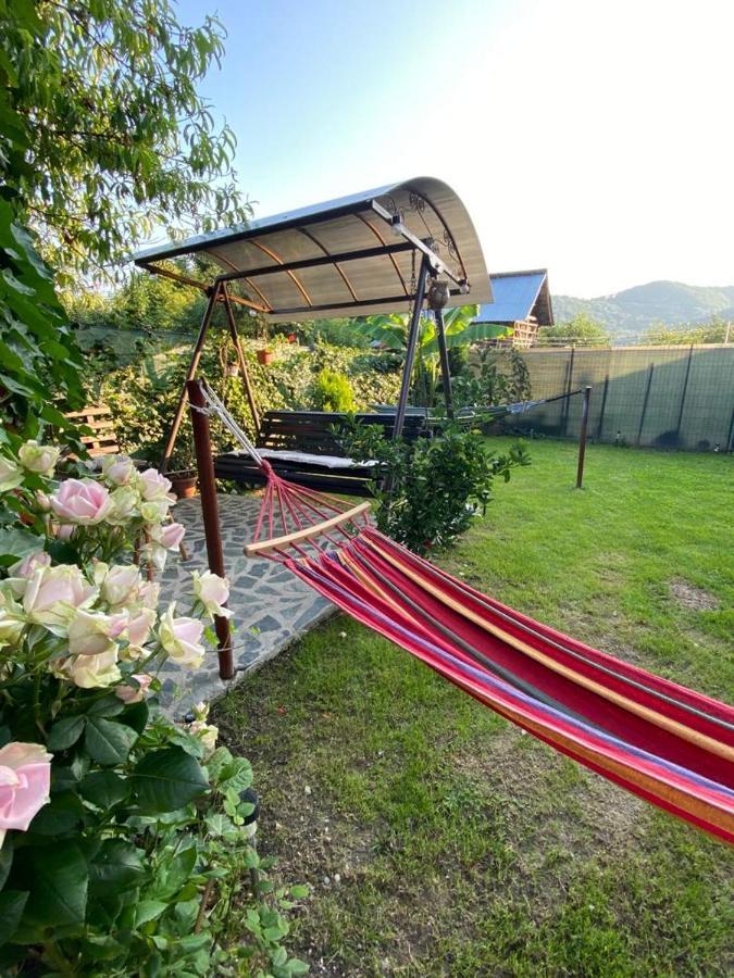 Apartmán Casa Diana-Maria Curtea de Argeş Exteriér fotografie