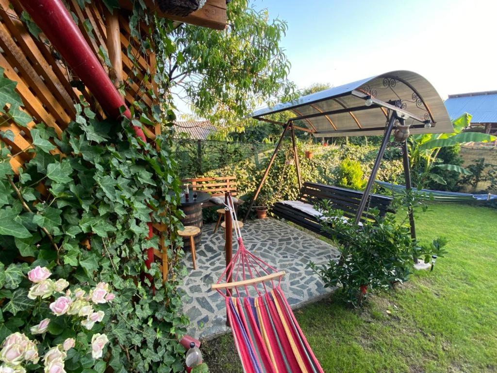 Apartmán Casa Diana-Maria Curtea de Argeş Exteriér fotografie