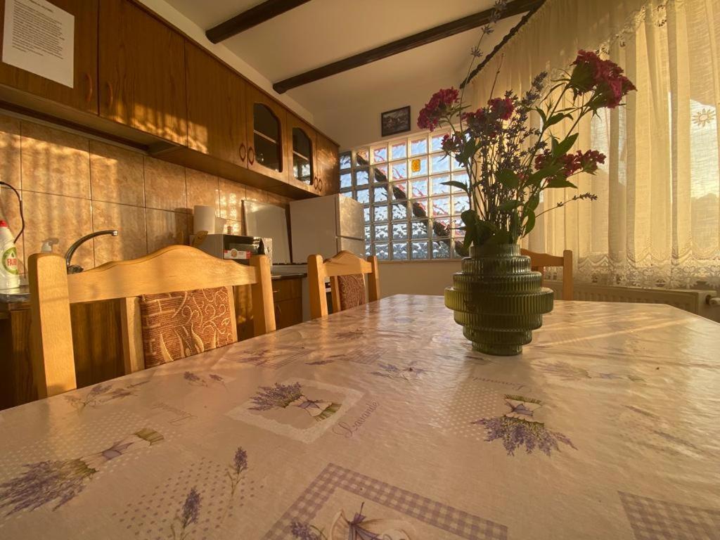 Apartmán Casa Diana-Maria Curtea de Argeş Exteriér fotografie