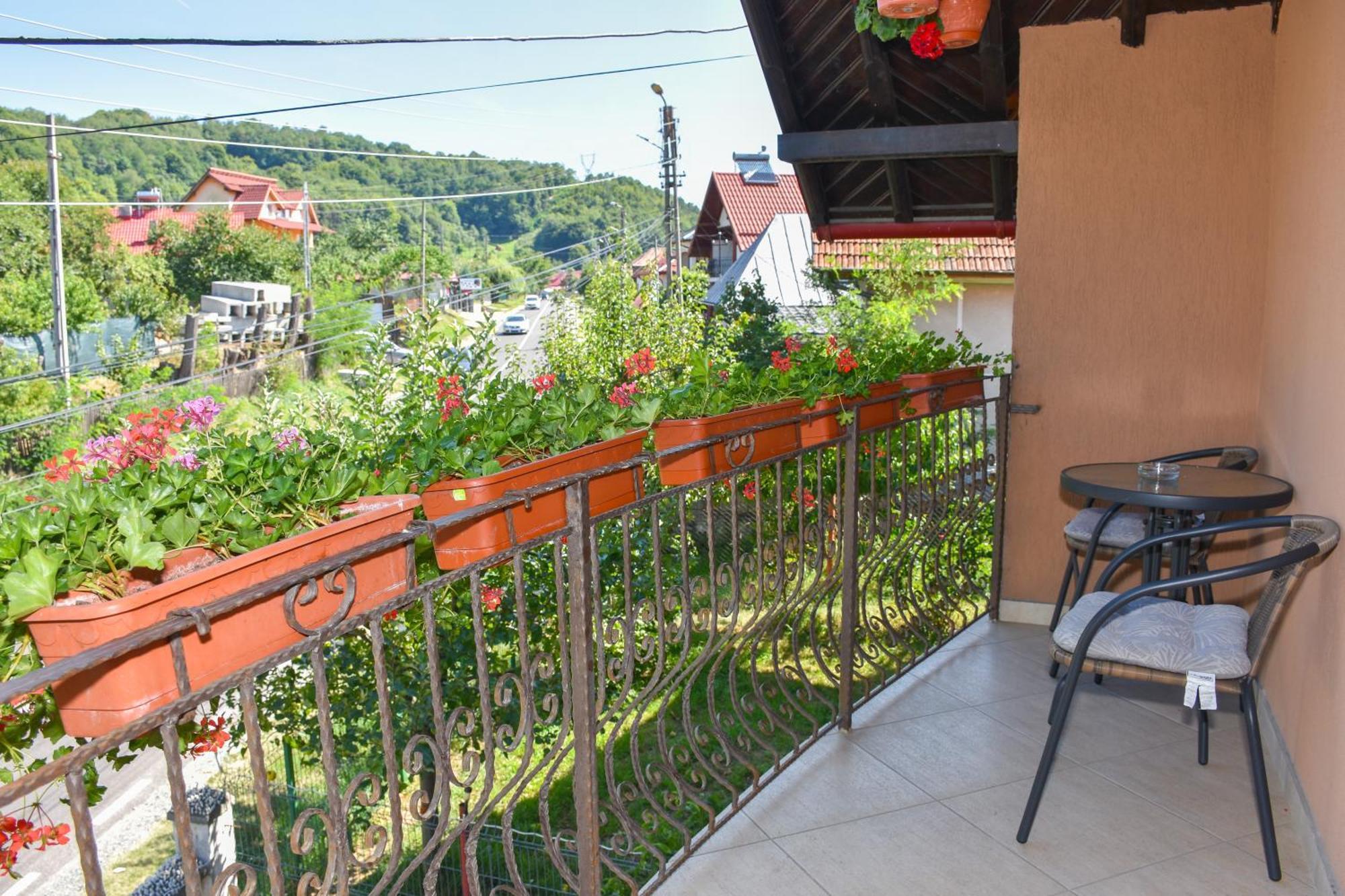 Apartmán Casa Diana-Maria Curtea de Argeş Exteriér fotografie