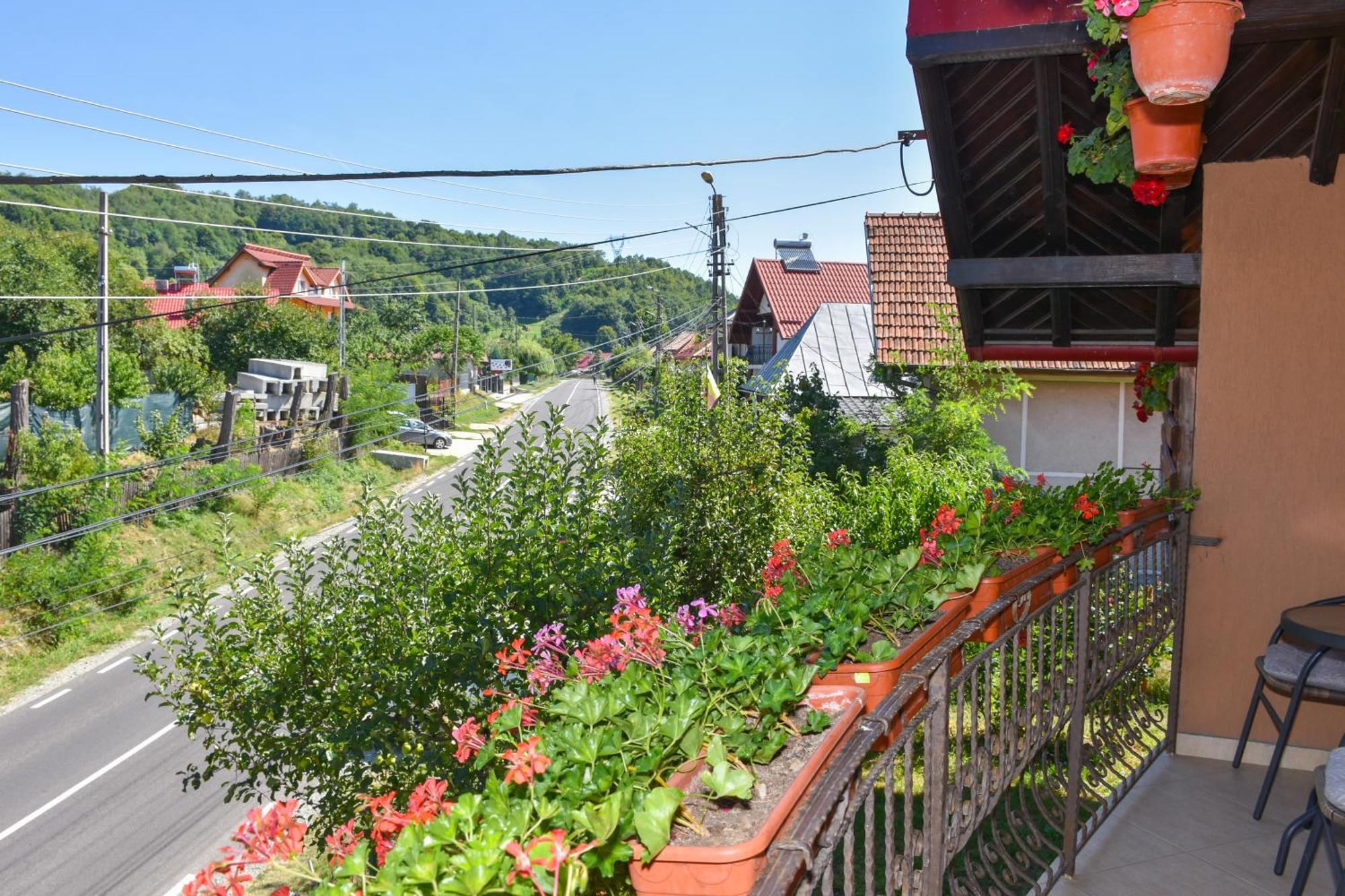Apartmán Casa Diana-Maria Curtea de Argeş Exteriér fotografie